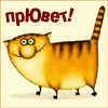 KipariS